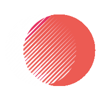 Project 1